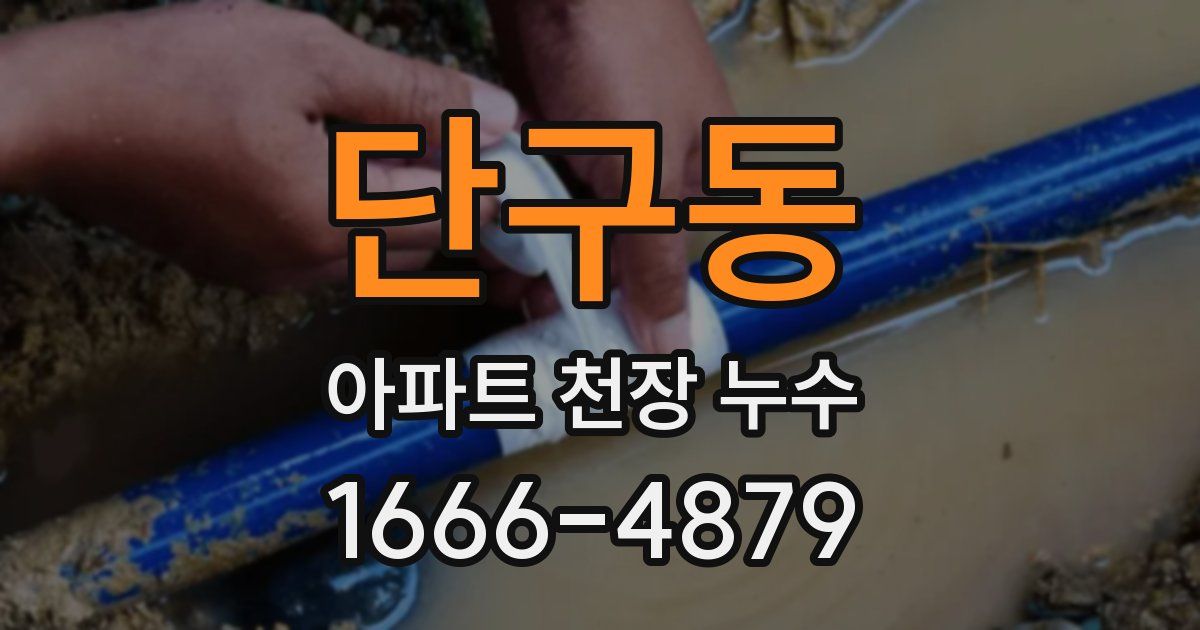 단구동 아파트 천장 누수