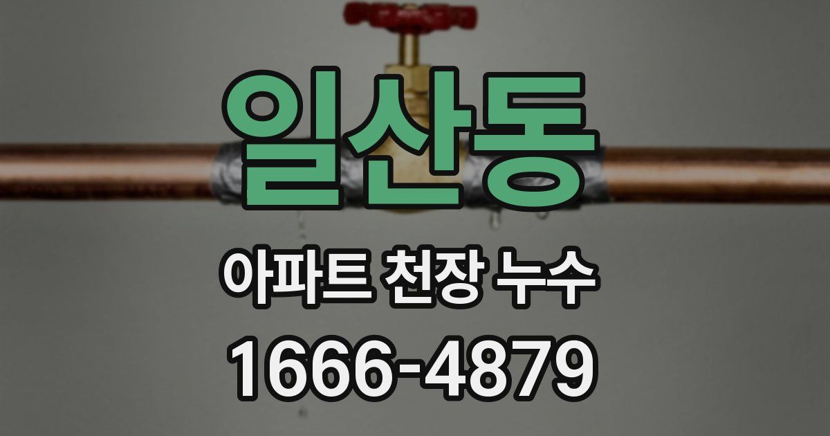 일산동 아파트 천장 누수