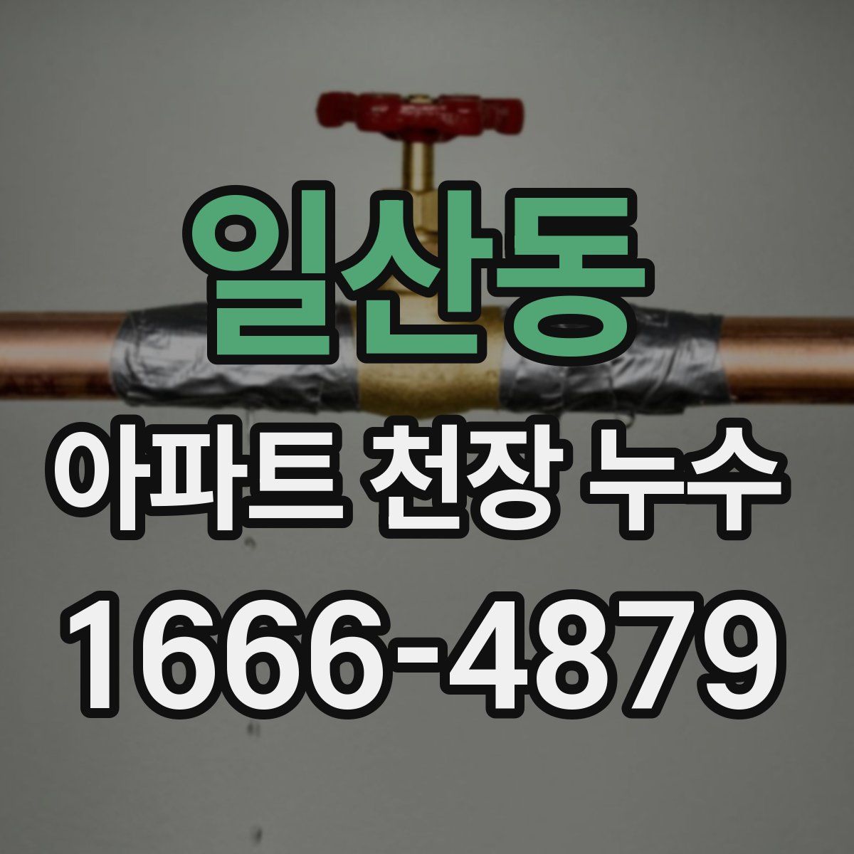 일산동 아파트 천장 누수