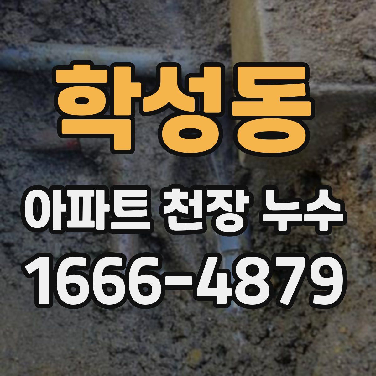 학성동 아파트 천장 누수