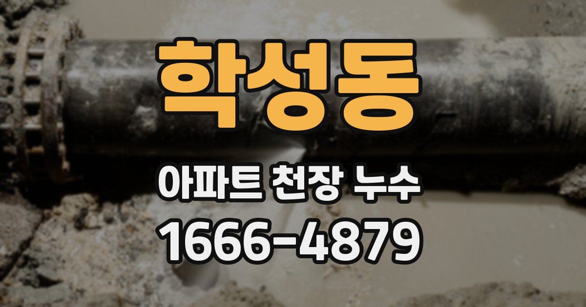 학성동 아파트 천장 누수