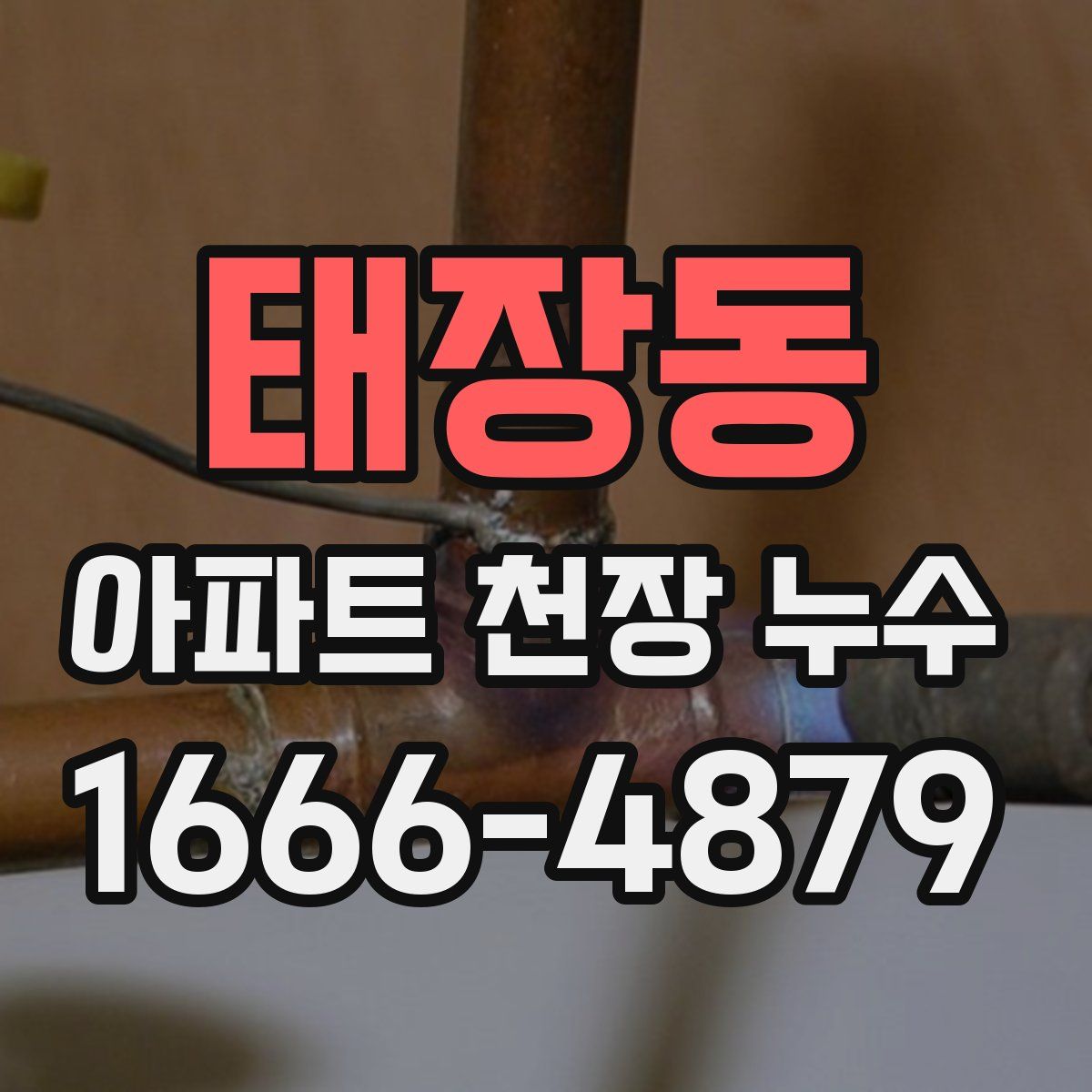 태장동 아파트 천장 누수