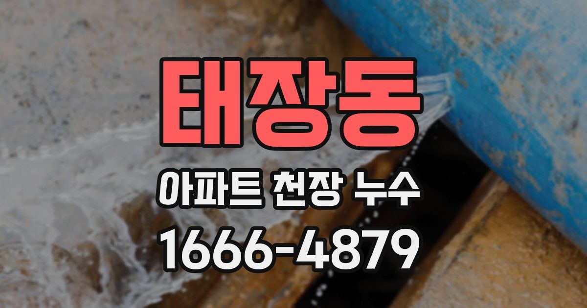 태장동 아파트 천장 누수