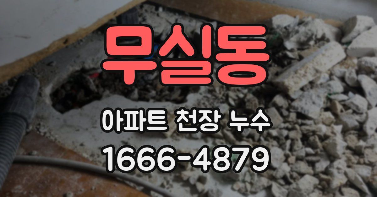 무실동 아파트 천장 누수