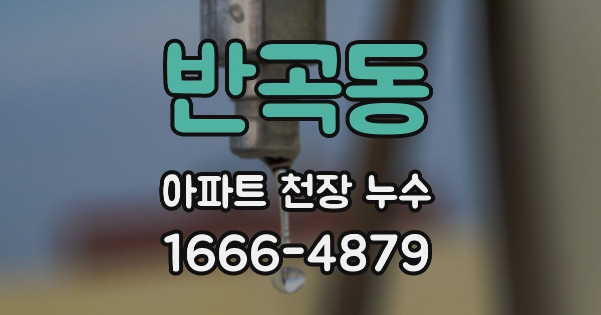 반곡동 아파트 천장 누수