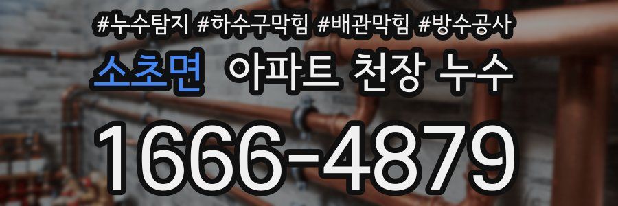 소초면 아파트 천장 누수