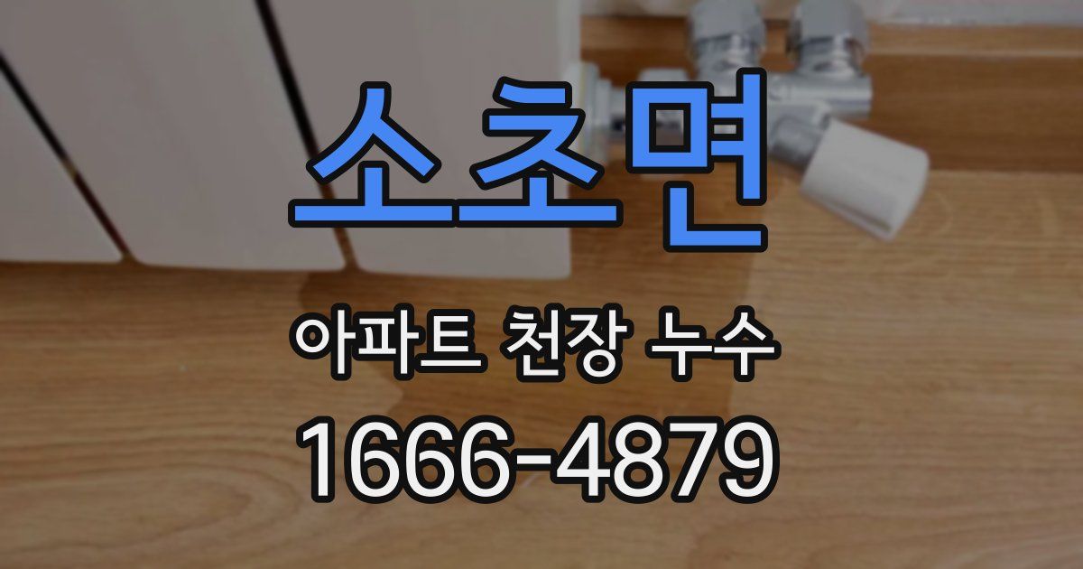 소초면 아파트 천장 누수
