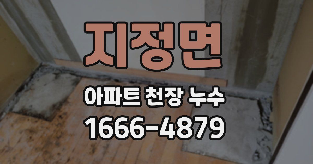지정면 아파트 천장 누수