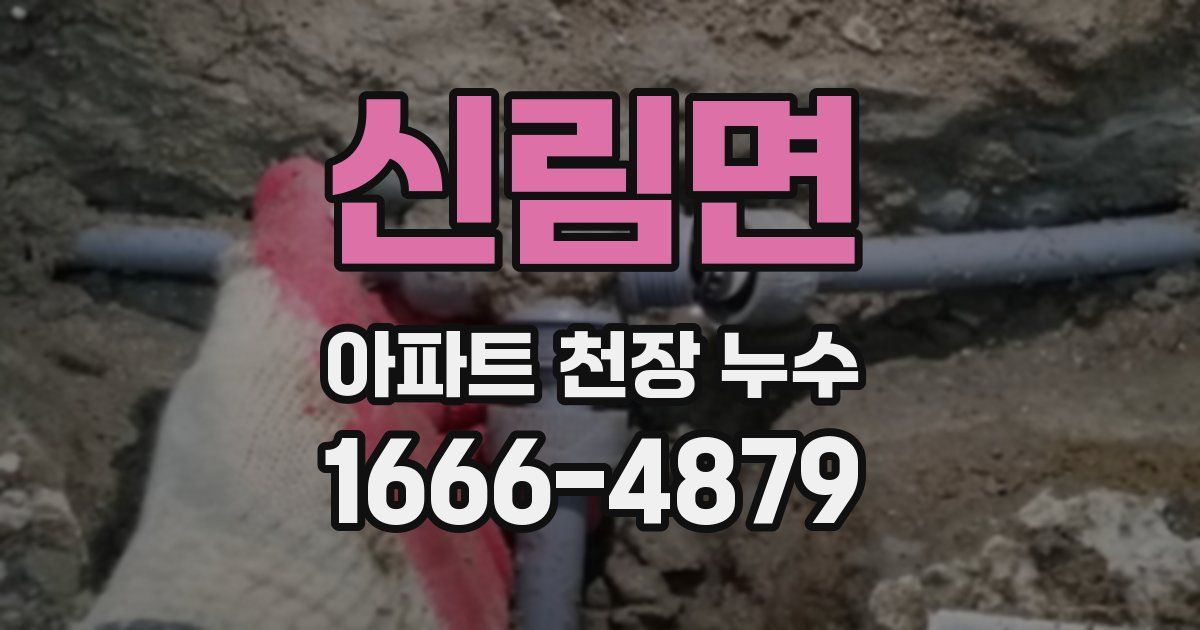 신림면 아파트 천장 누수