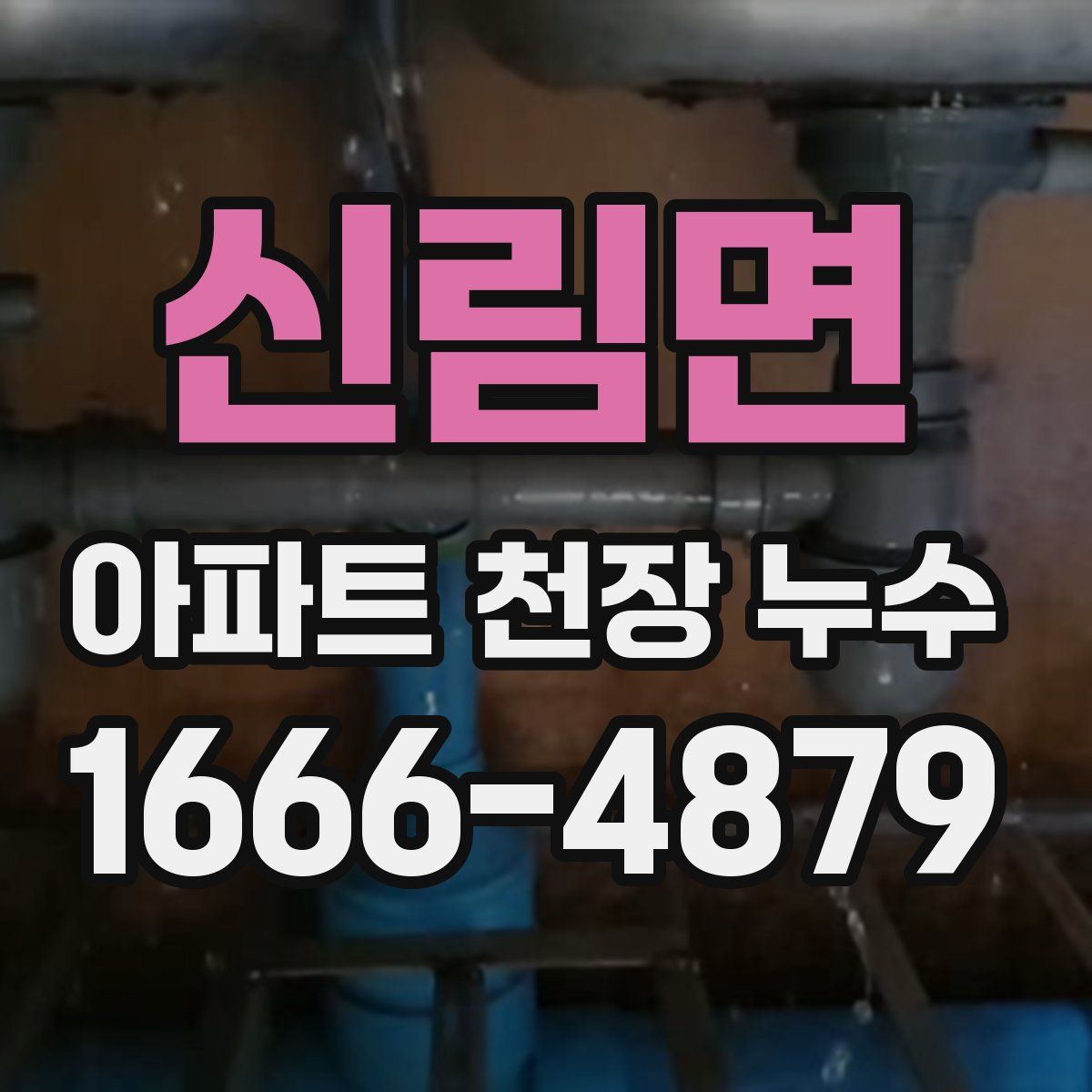 신림면 아파트 천장 누수