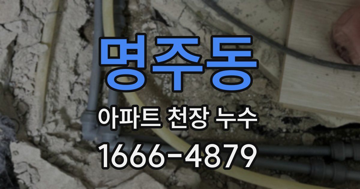 명주동 아파트 천장 누수