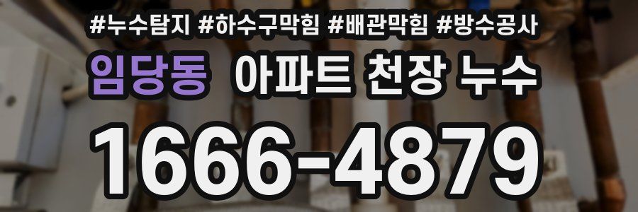 임당동 아파트 천장 누수