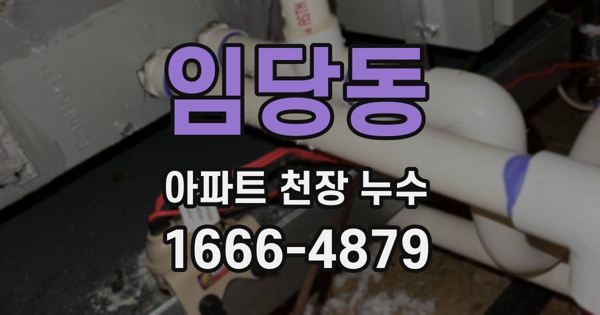임당동 아파트 천장 누수