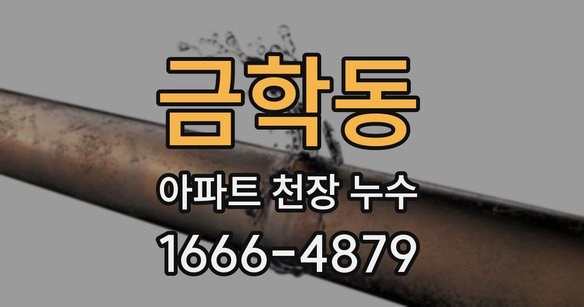 금학동 아파트 천장 누수