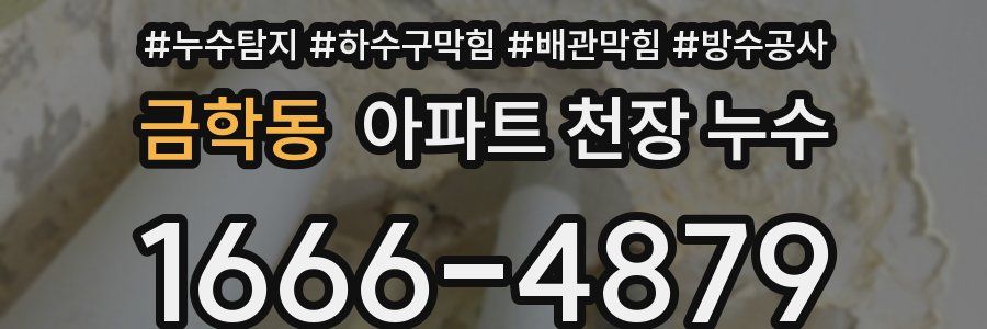 금학동 아파트 천장 누수