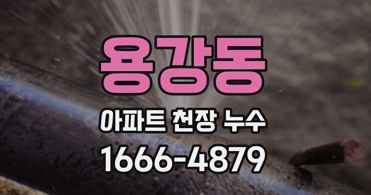 용강동 아파트 천장 누수