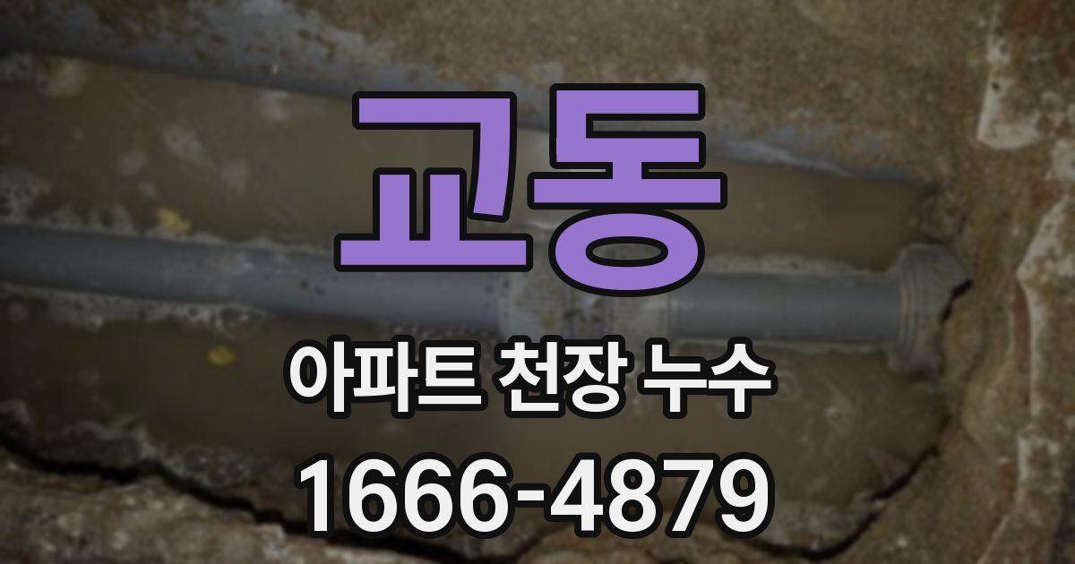 교동 아파트 천장 누수