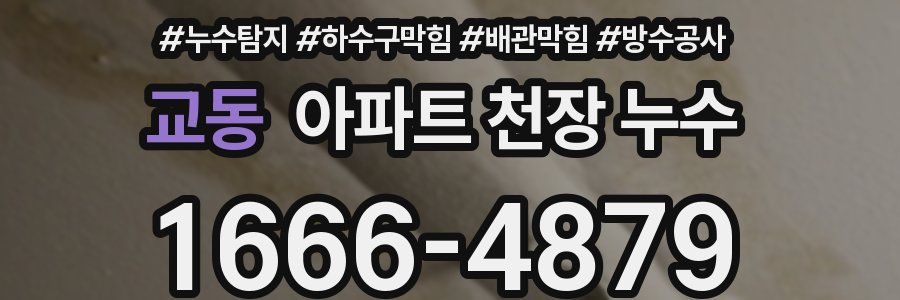 교동 아파트 천장 누수