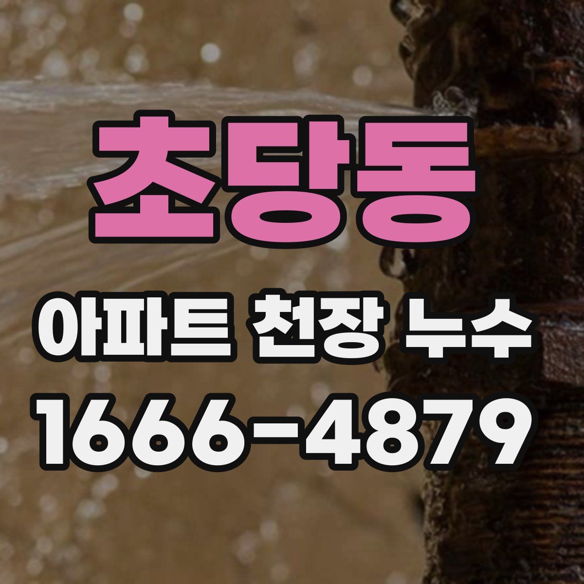 초당동 아파트 천장 누수
