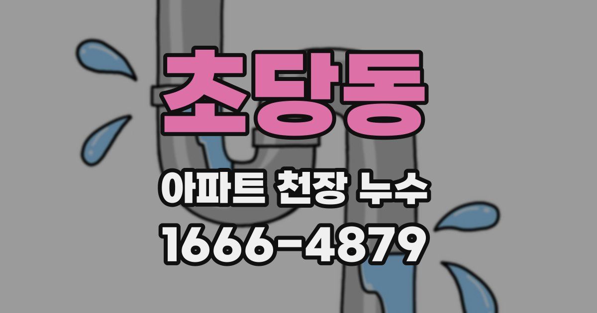 초당동 아파트 천장 누수