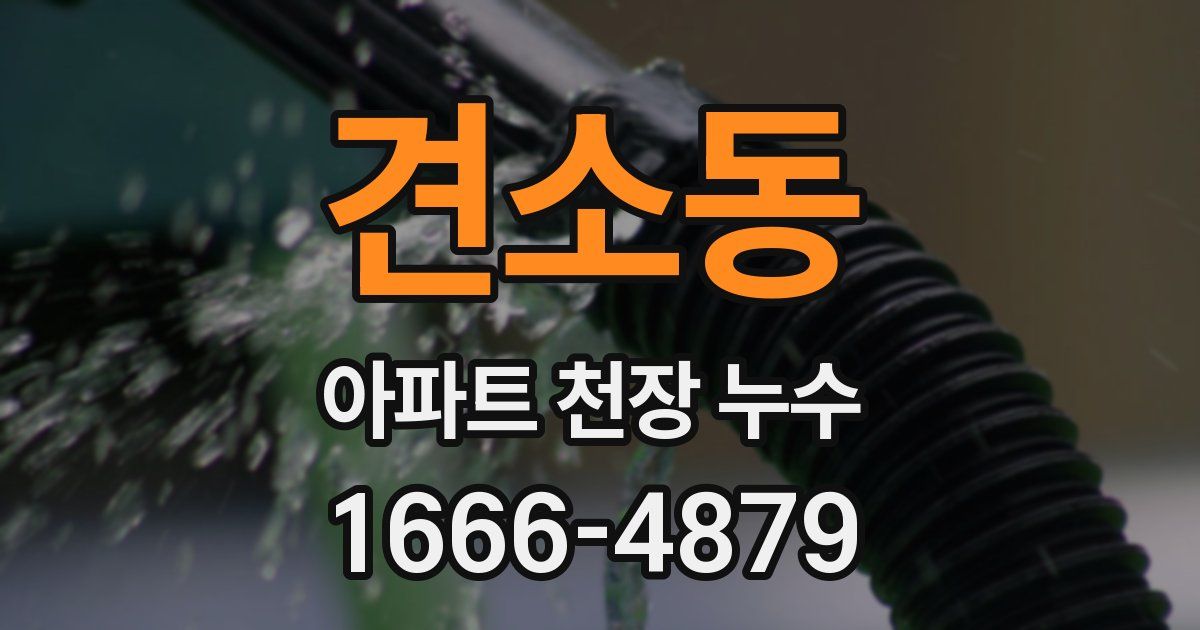견소동 아파트 천장 누수