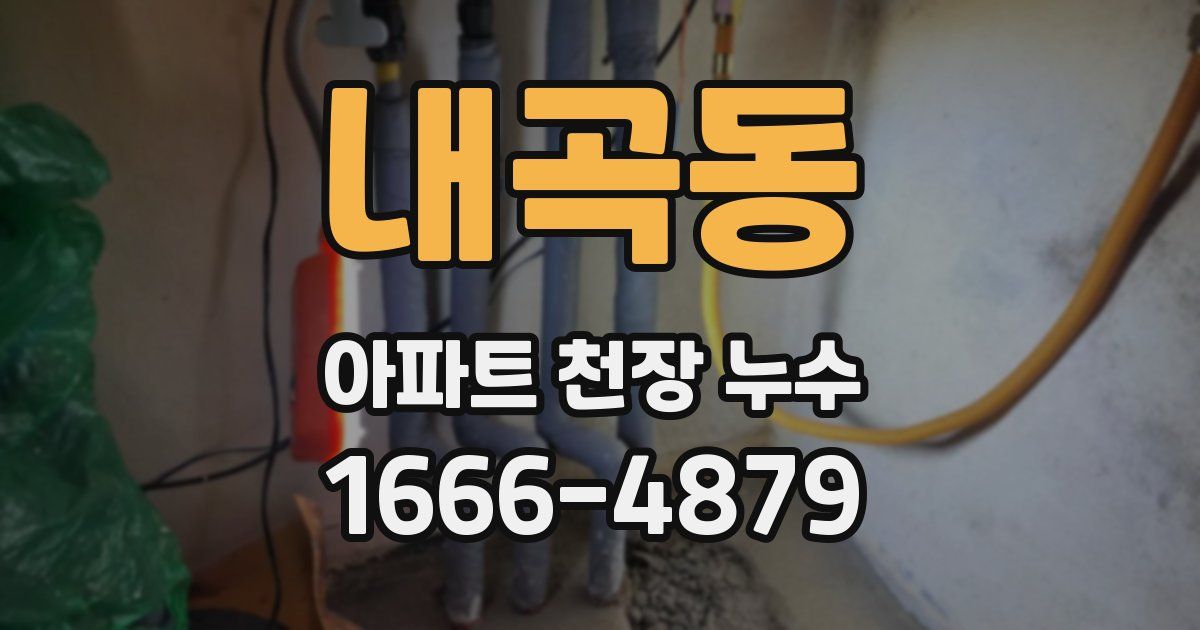 내곡동 아파트 천장 누수