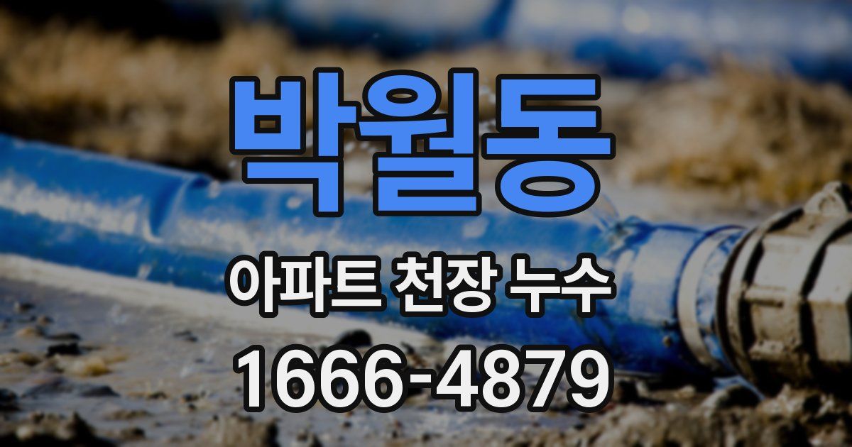 박월동 아파트 천장 누수