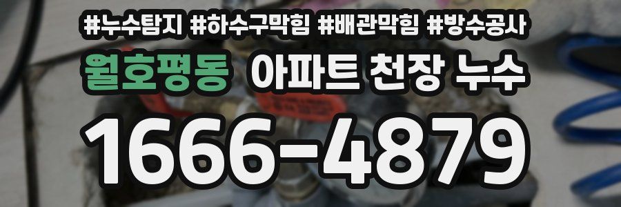 월호평동 아파트 천장 누수