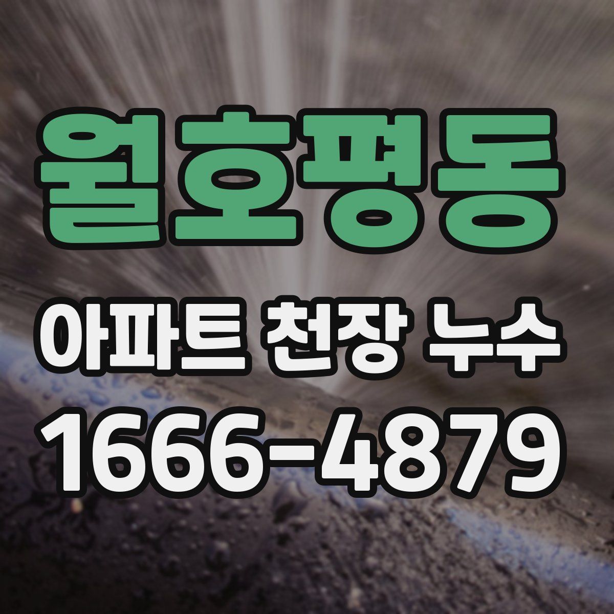 월호평동 아파트 천장 누수