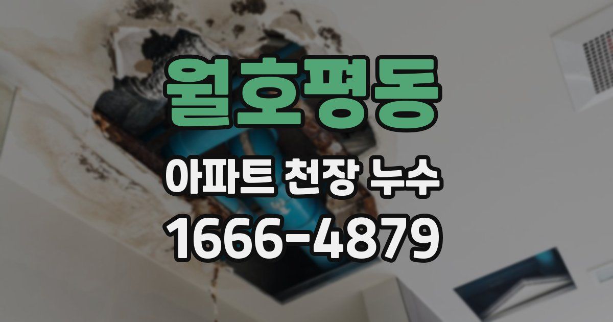 월호평동 아파트 천장 누수