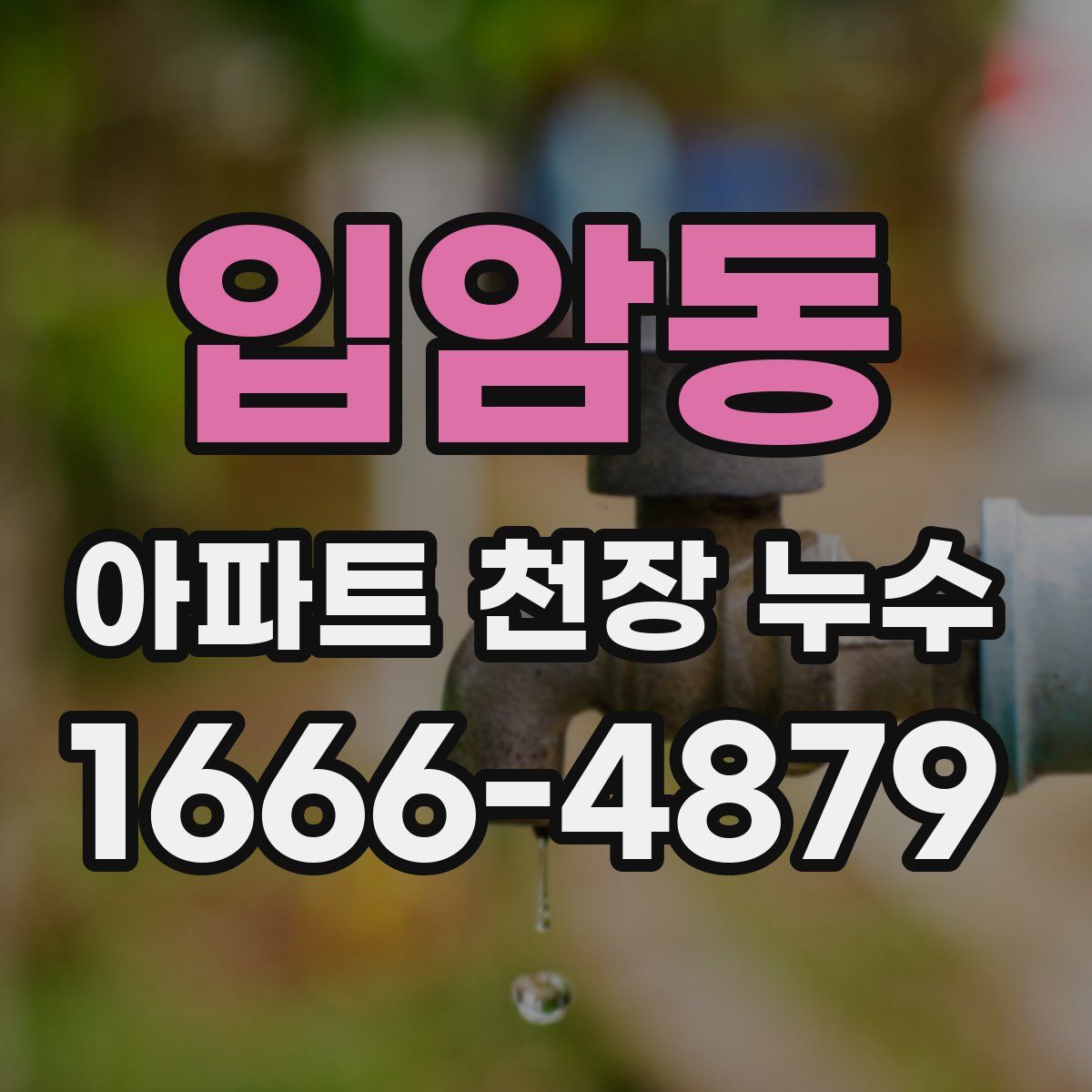 입암동 아파트 천장 누수