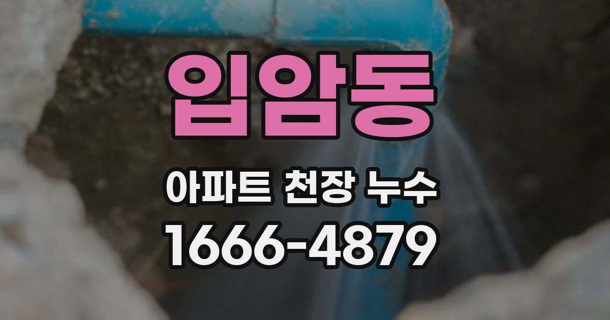 입암동 아파트 천장 누수