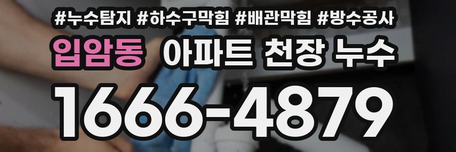 입암동 아파트 천장 누수