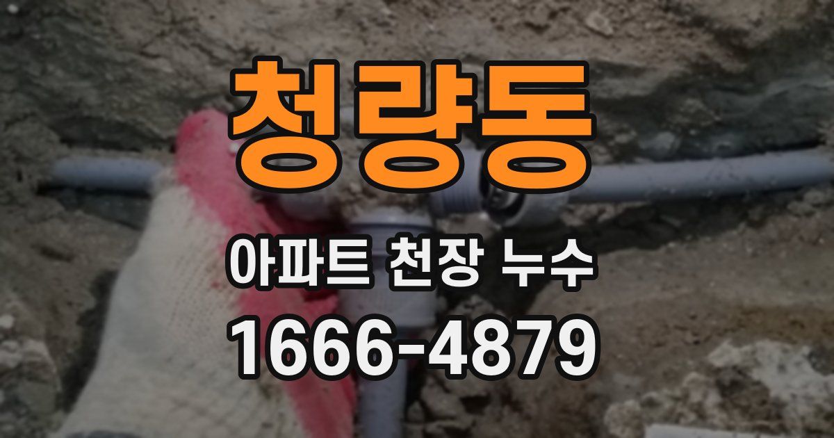 청량동 아파트 천장 누수