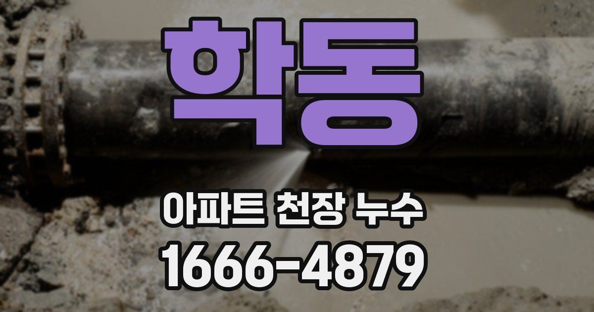 학동 아파트 천장 누수