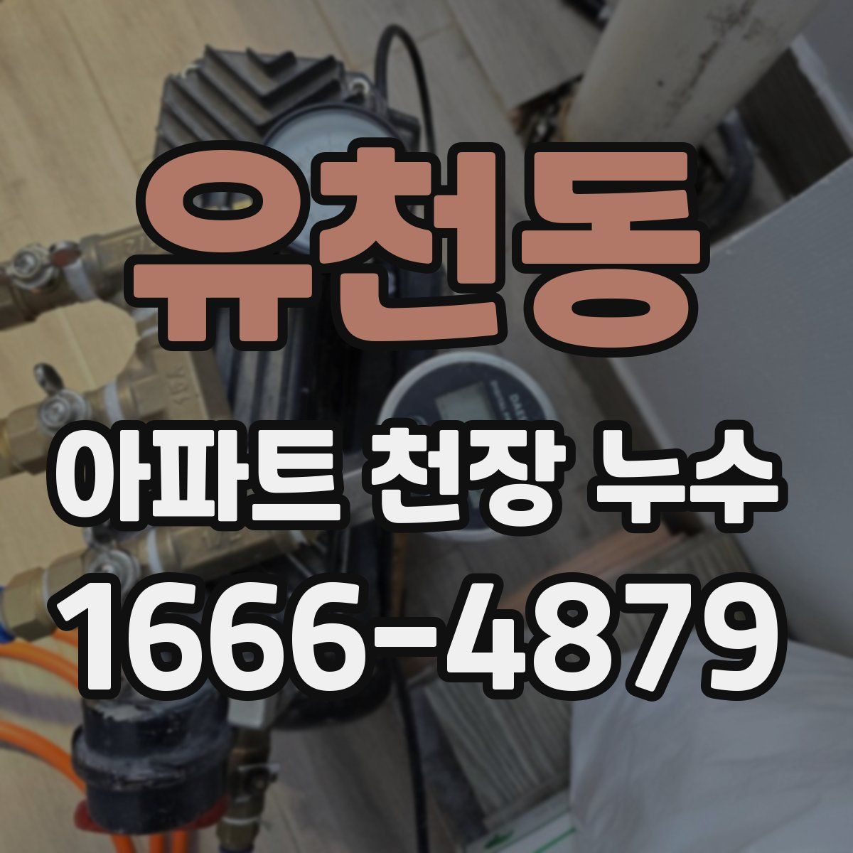 유천동 아파트 천장 누수