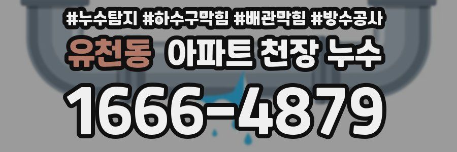 유천동 아파트 천장 누수