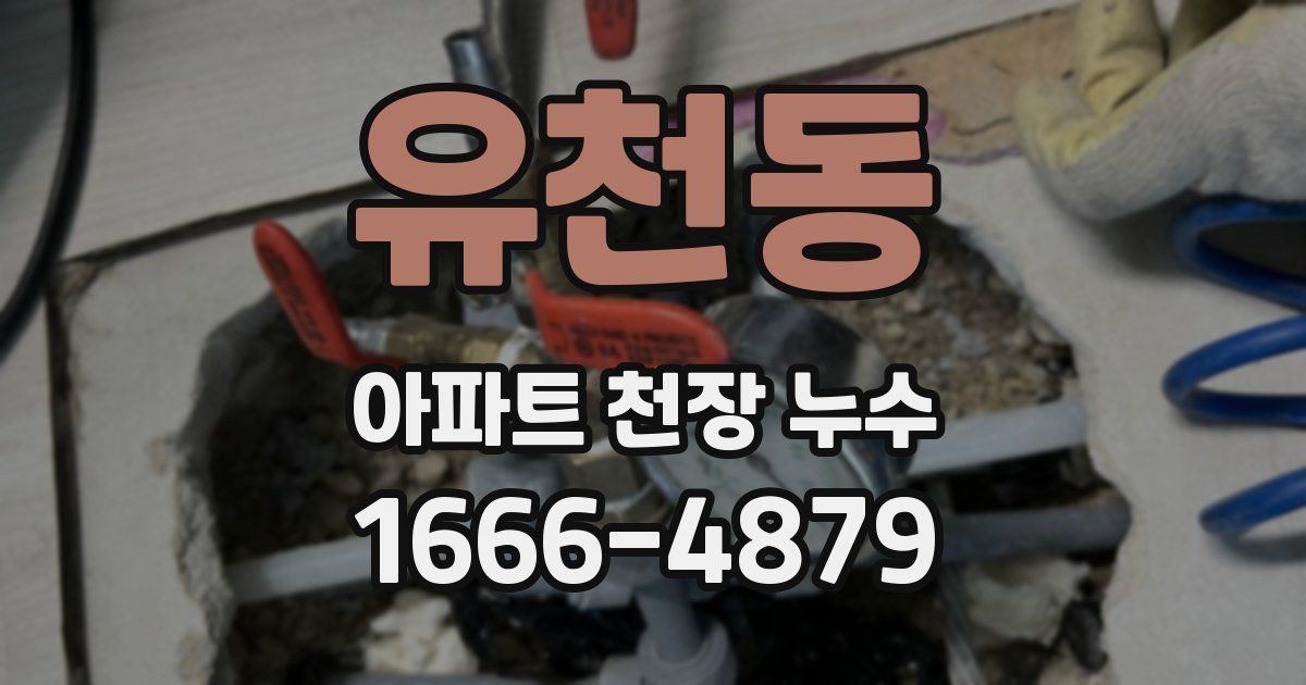 유천동 아파트 천장 누수