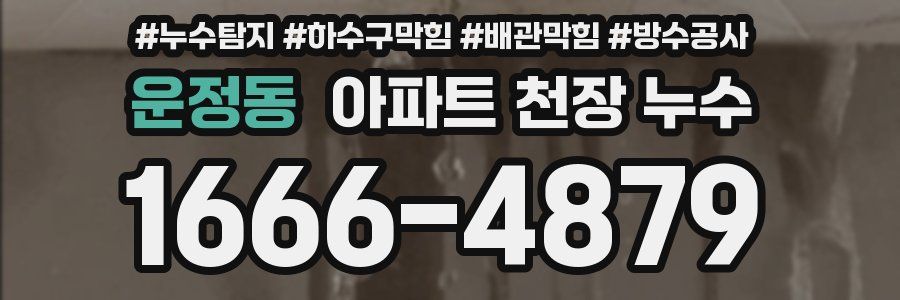 운정동 아파트 천장 누수