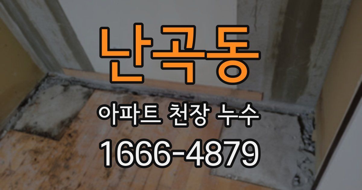 난곡동 아파트 천장 누수