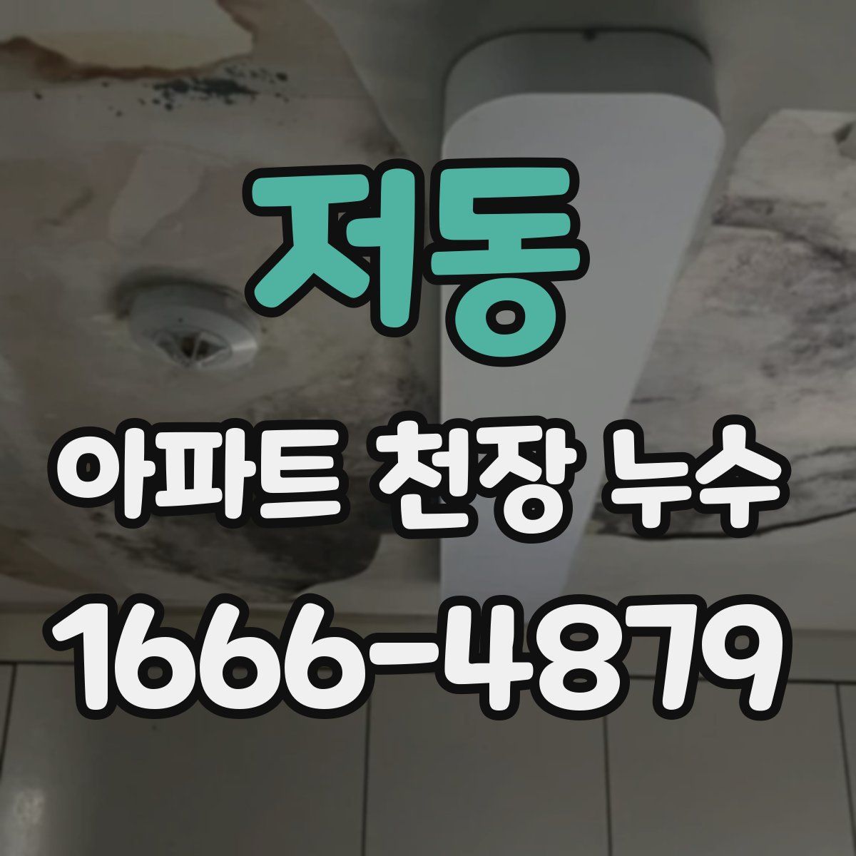 저동 아파트 천장 누수