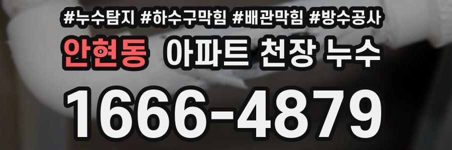안현동 아파트 천장 누수