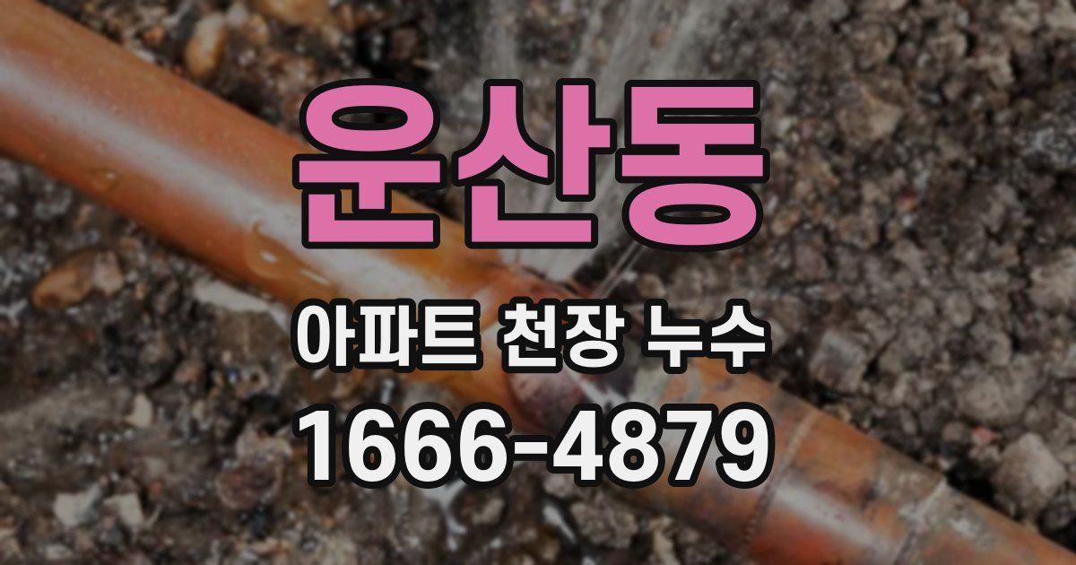 운산동 아파트 천장 누수