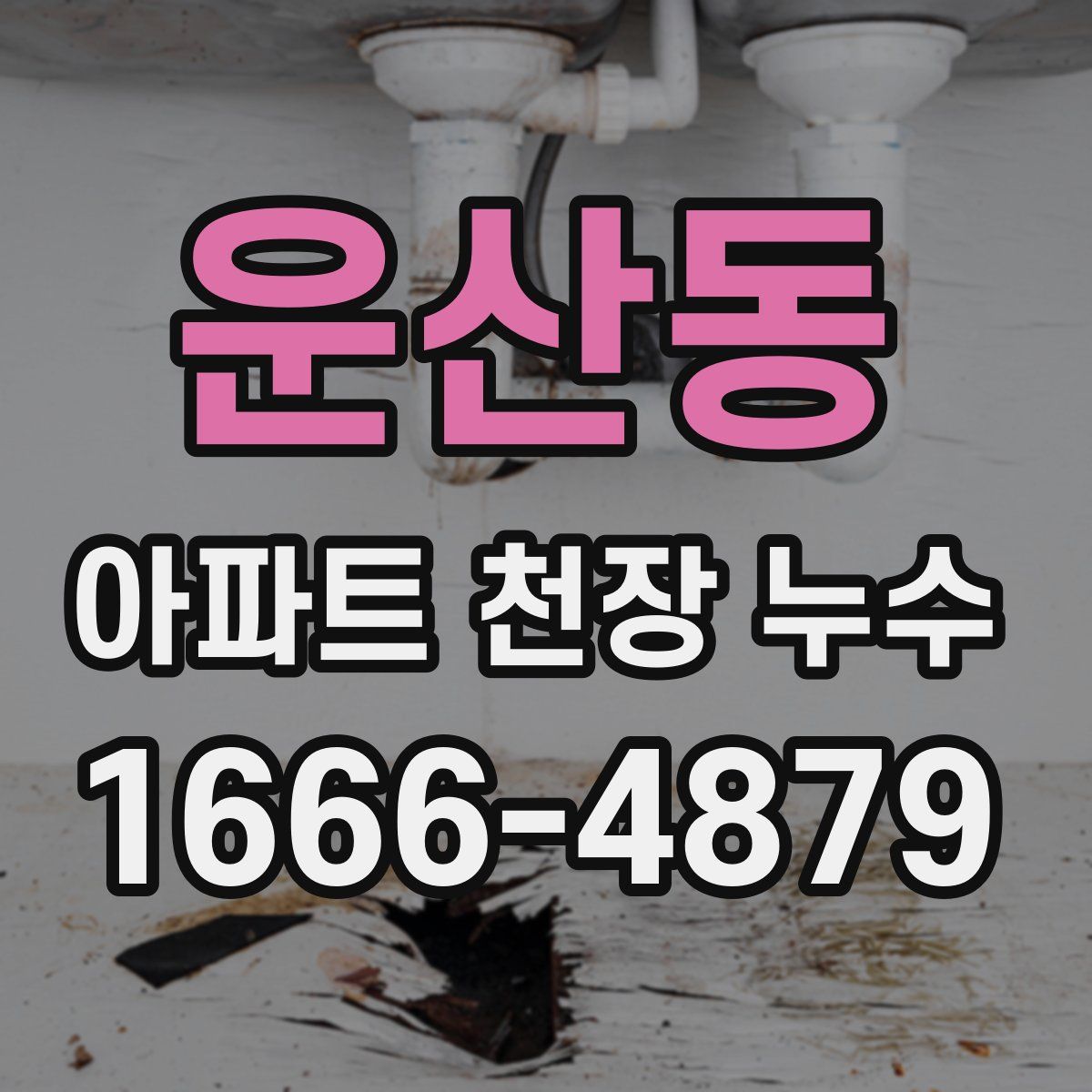운산동 아파트 천장 누수