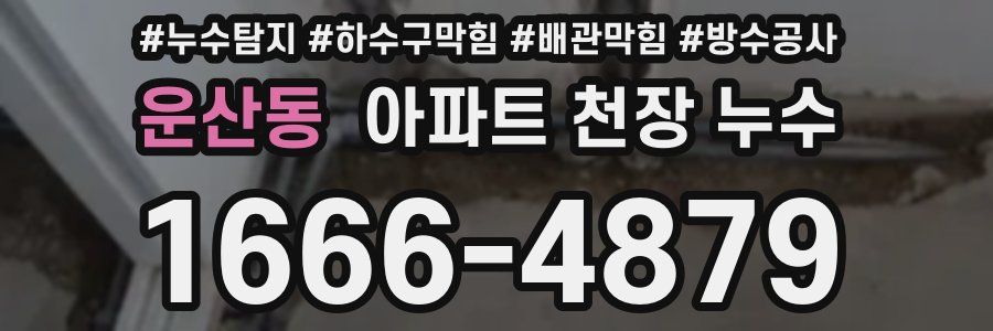 운산동 아파트 천장 누수