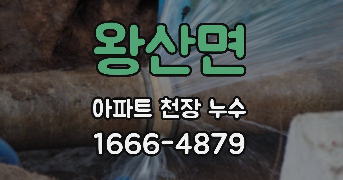 왕산면 아파트 천장 누수