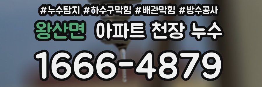왕산면 아파트 천장 누수