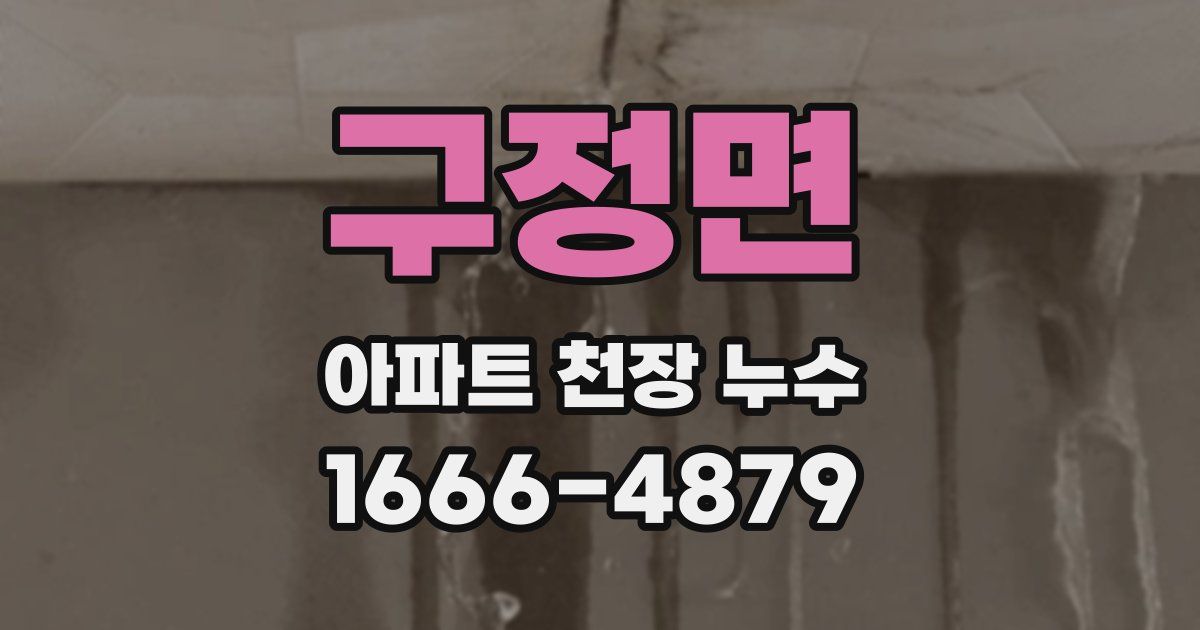 구정면 아파트 천장 누수