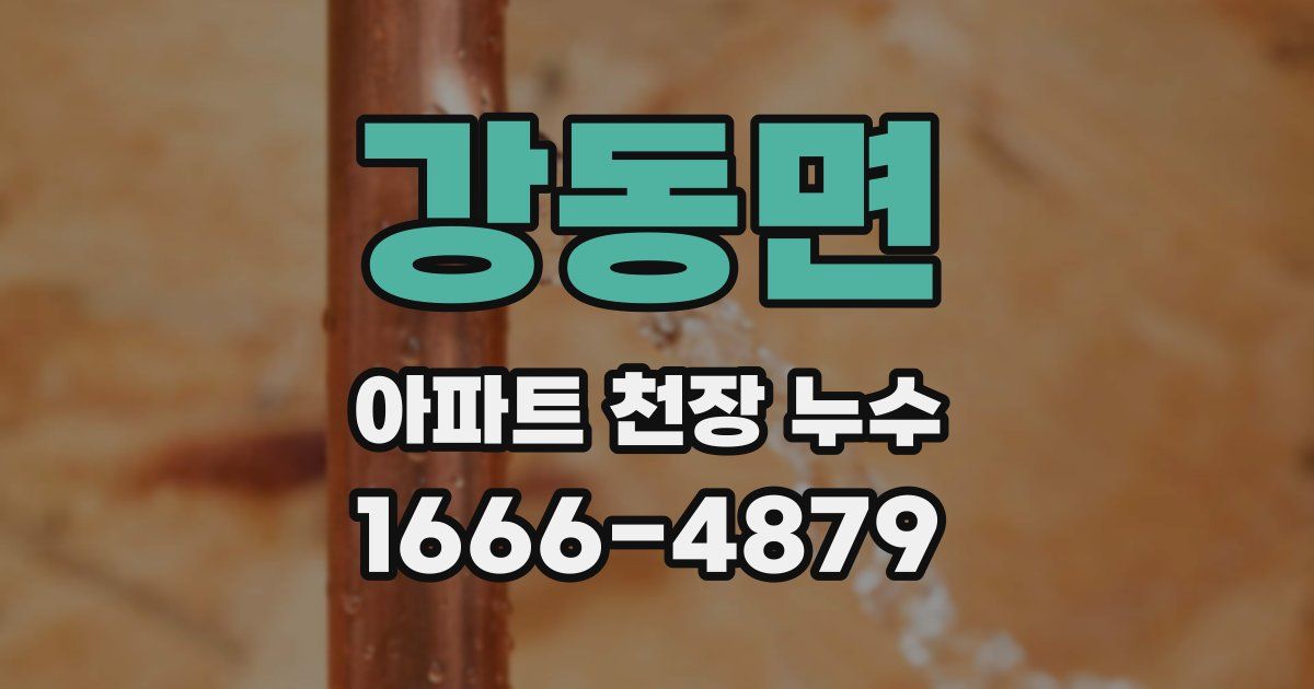 강동면 아파트 천장 누수