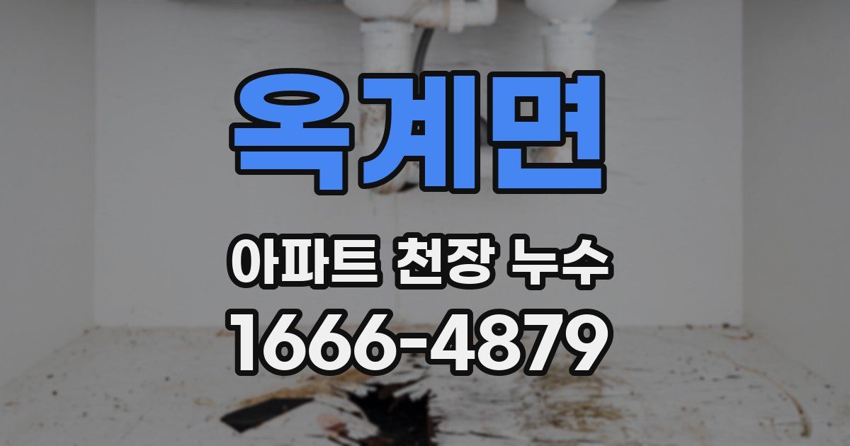 옥계면 아파트 천장 누수
